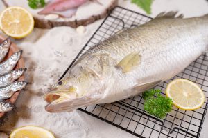 Cá chẻm - Thủy Hải Sản PTASeafood - Công Ty Cổ Phần Phát Triển Quốc Tế PTASeafood